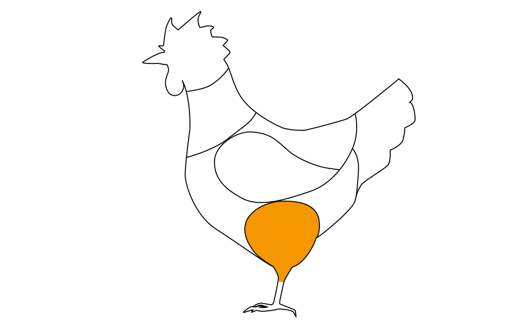 Maish�hnchenbrust