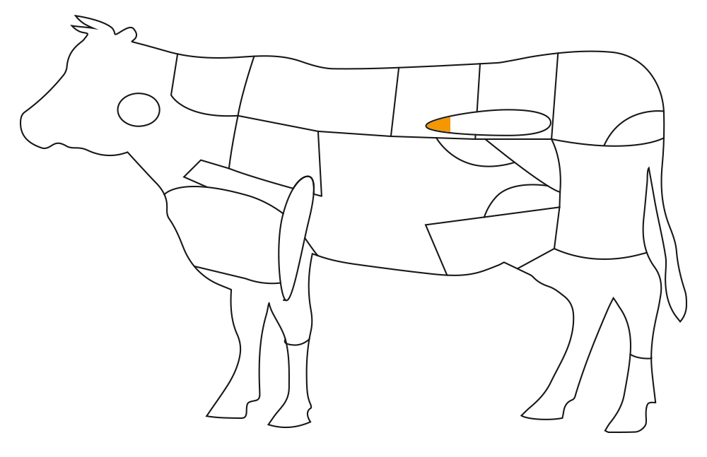 Teilst�ck vom Rind: Filet