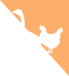 Entenkeule mit Orangenglasur