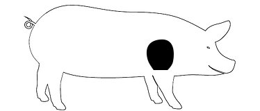 Jetzt Schweineschulter kaufen