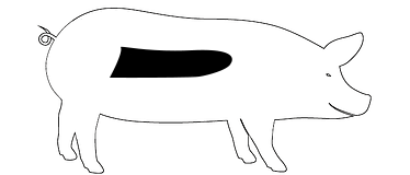 Saftige Spare Ribs kaufen