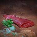 Bison Filetspitzen