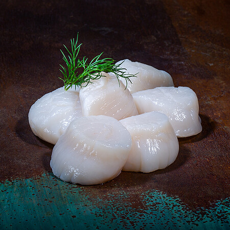 Tiefseescallops (Jakobsmuscheln) 20/30, ohne Rogen